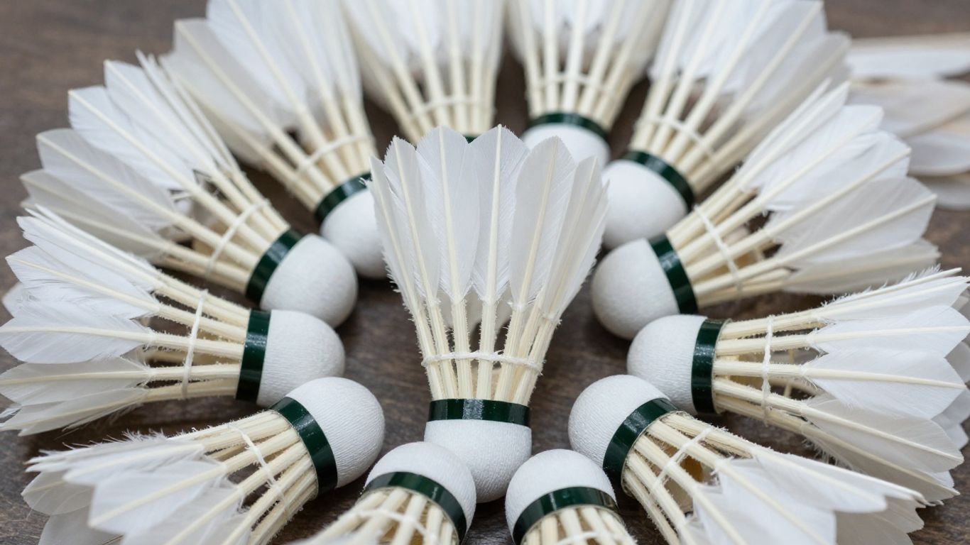 Collection of white badminton shuttlecocks with fanned feathers.