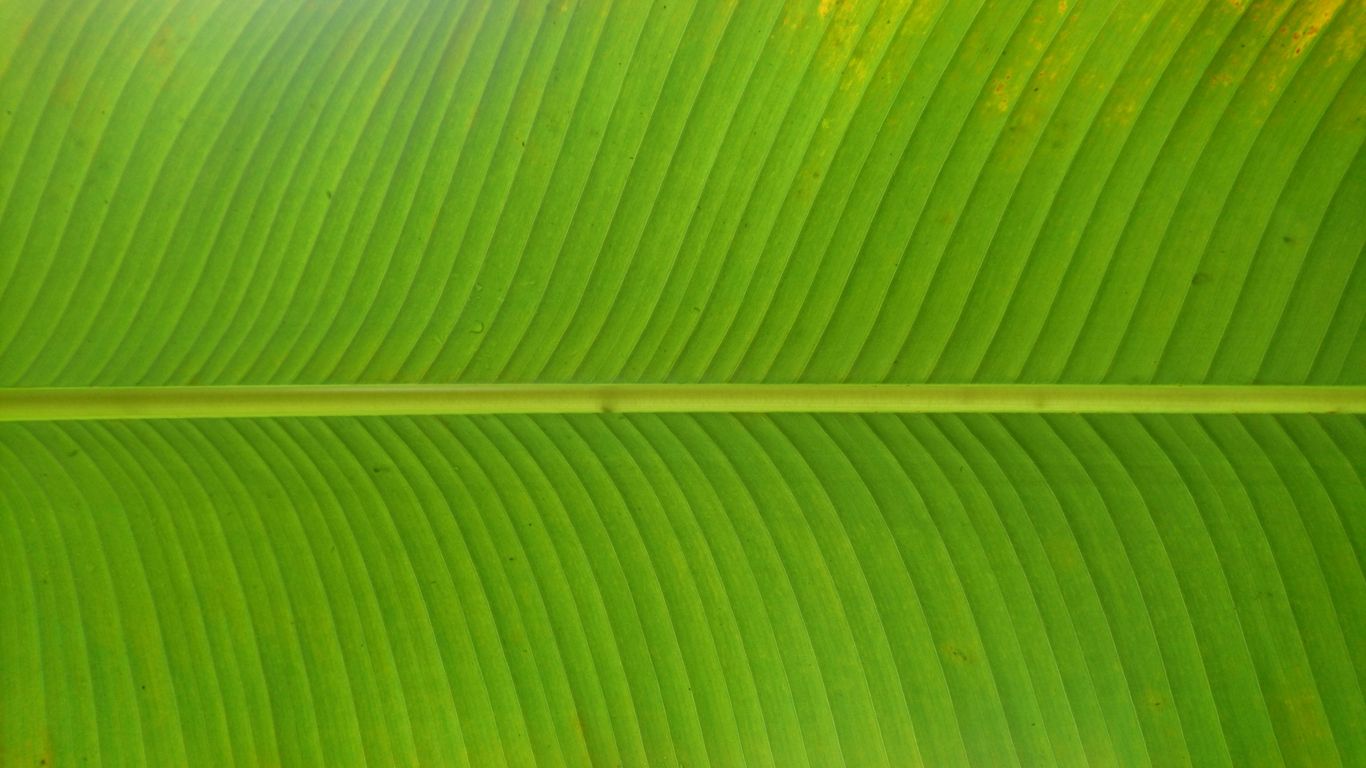 Authentic spicy curry served on fresh banana leaf