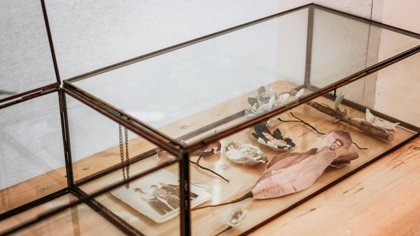 Delicate collectibles safely encased with view