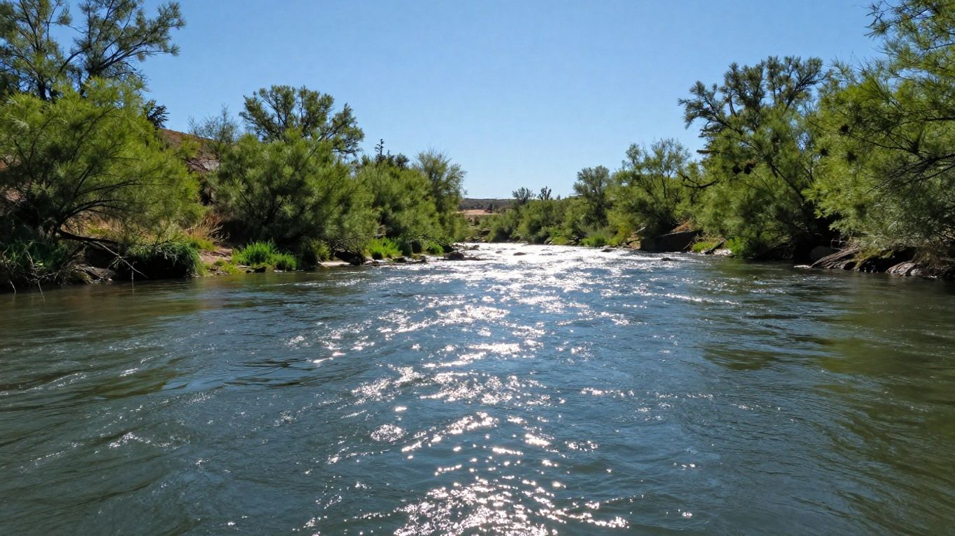 Arizona riverfront land with lush greenery and blue sky.