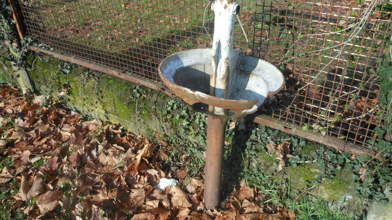 a bird bath in a fenced in area