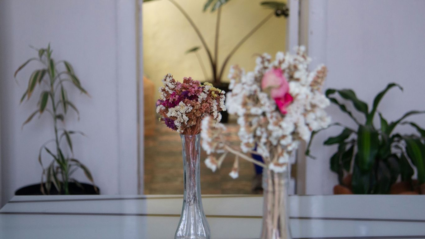pink and white flowers in clear glass vase