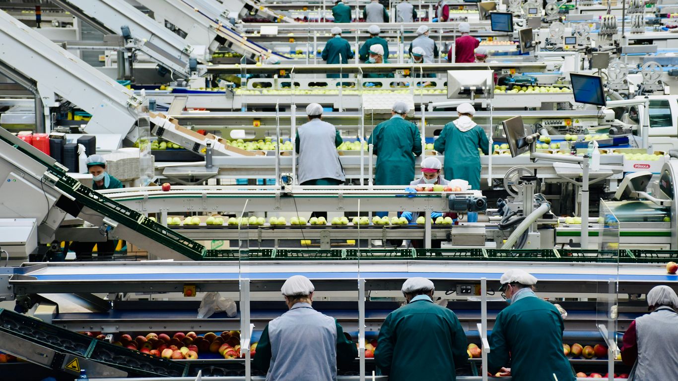 Processed plant products ready for export