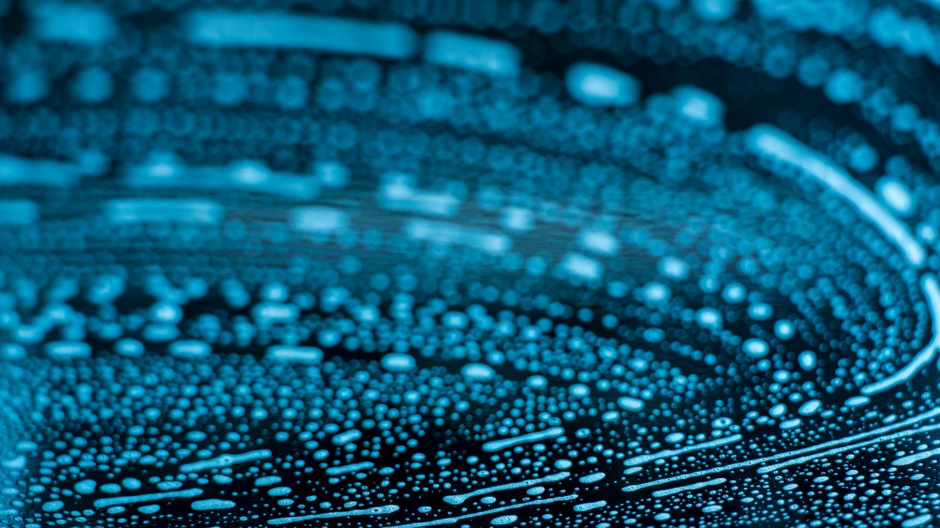 Interface design impact on user cognitive choice