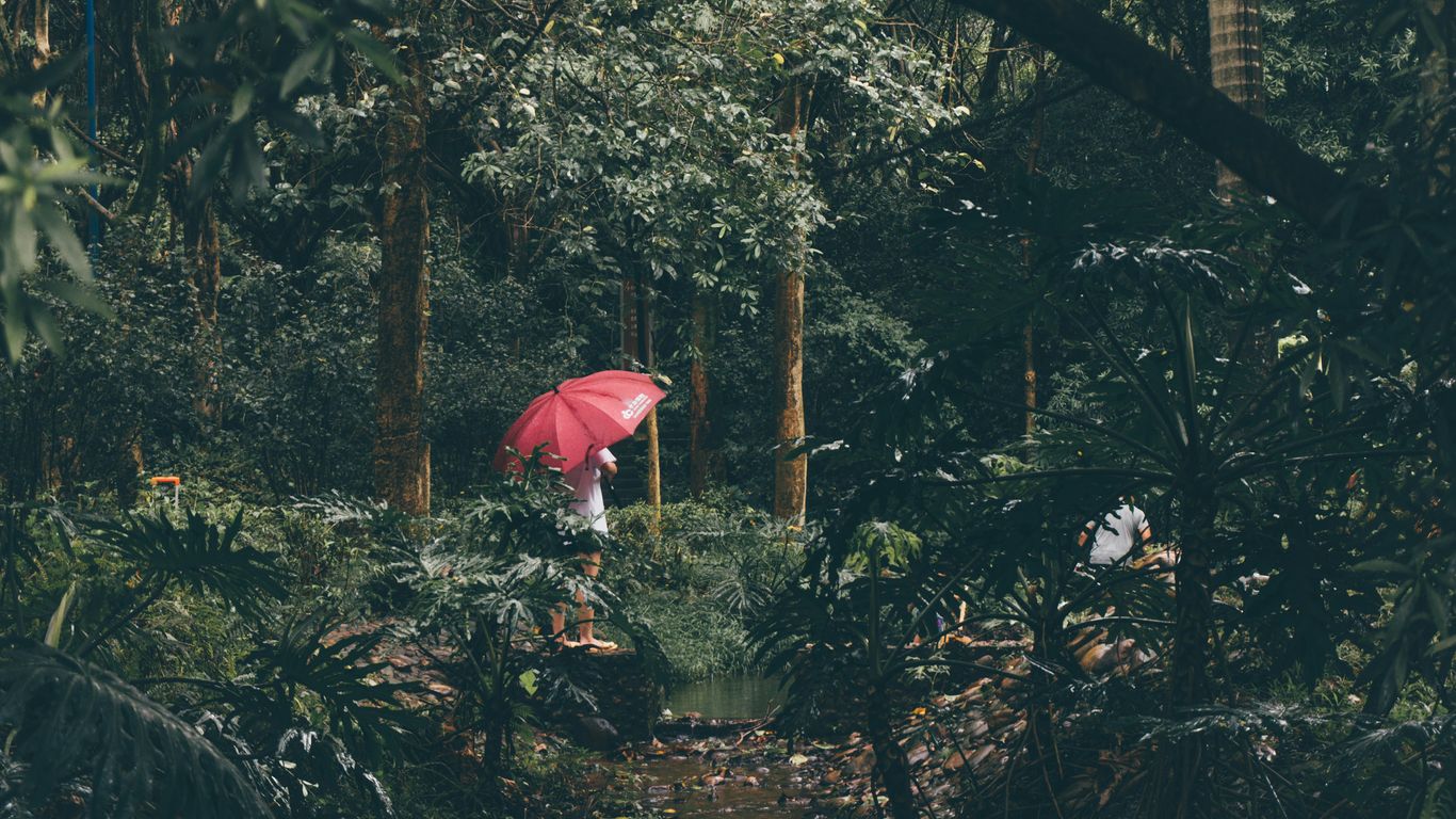 person in white shirt holding pink umbrella standing on brown rock in front of green trees