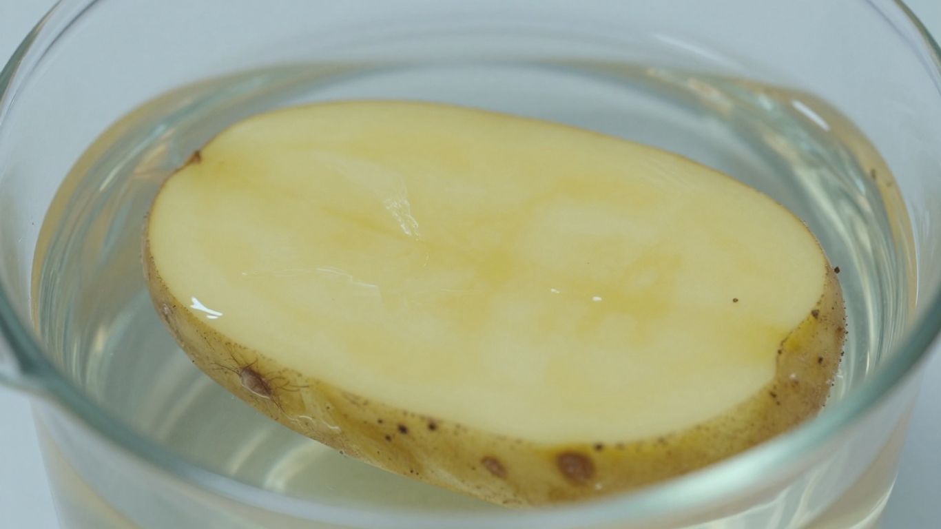 Aardappelschijfjes in water, resultaat van osmose experiment.