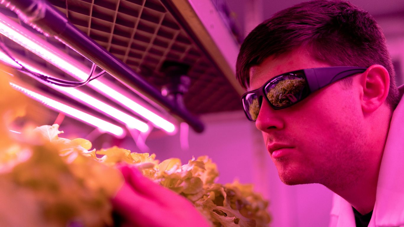 man in black sunglasses and pink shirt