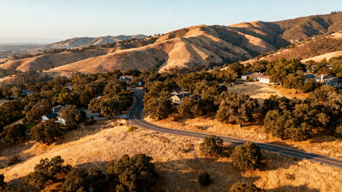 Northern California hillside homes and forest