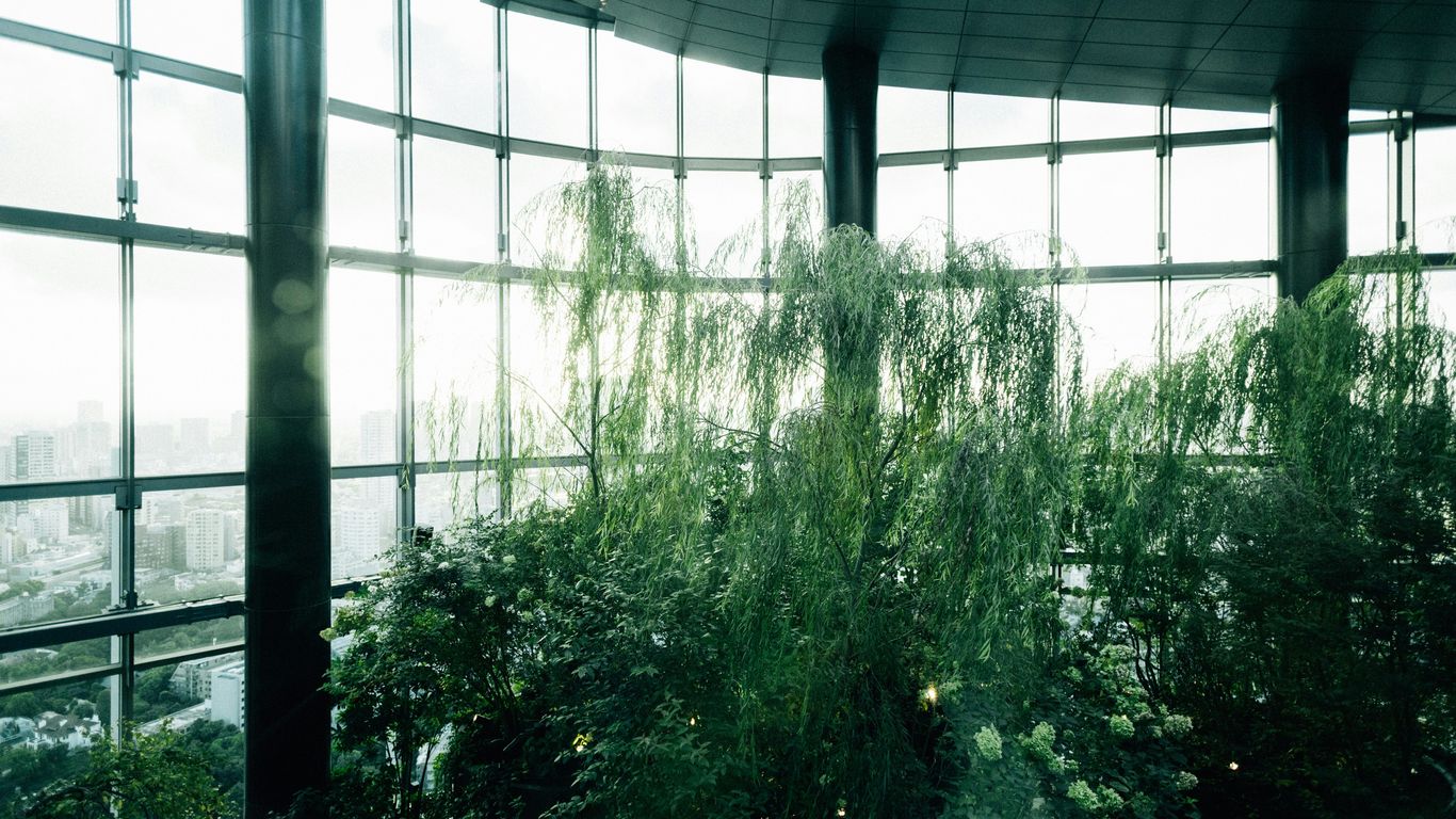 Lush greenery inside a modern building with large windows