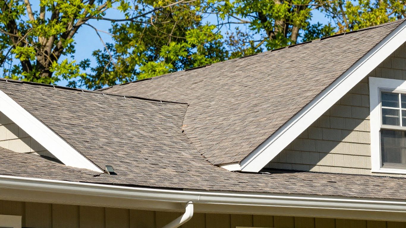Spring roof inspection North Georgia