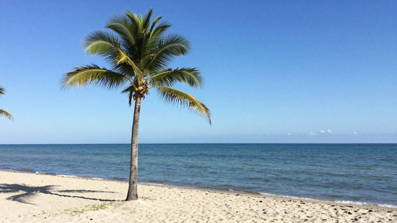 Vero Beach coastline with palm tree and ocean.