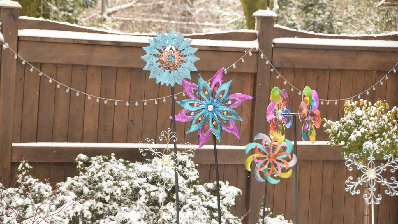 a group of colorful flowers