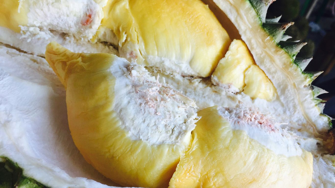 durian fruit