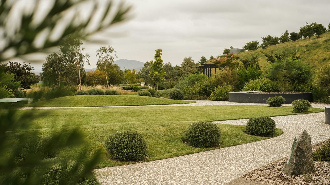 a large green lawn with bushes and trees