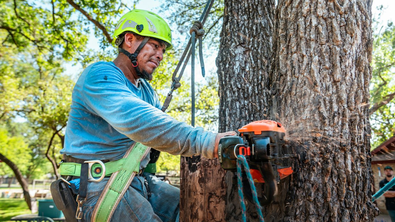 Small tree service team reviewing jobs