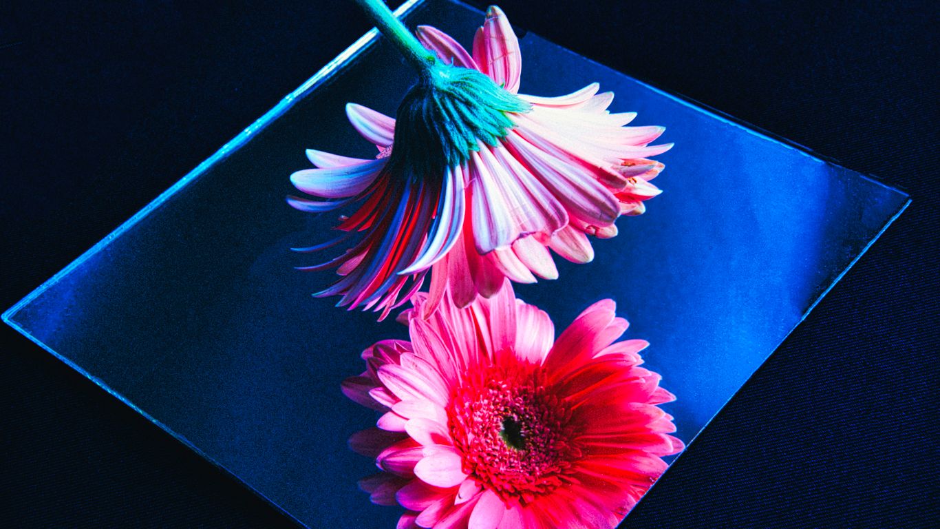 a group of flowers