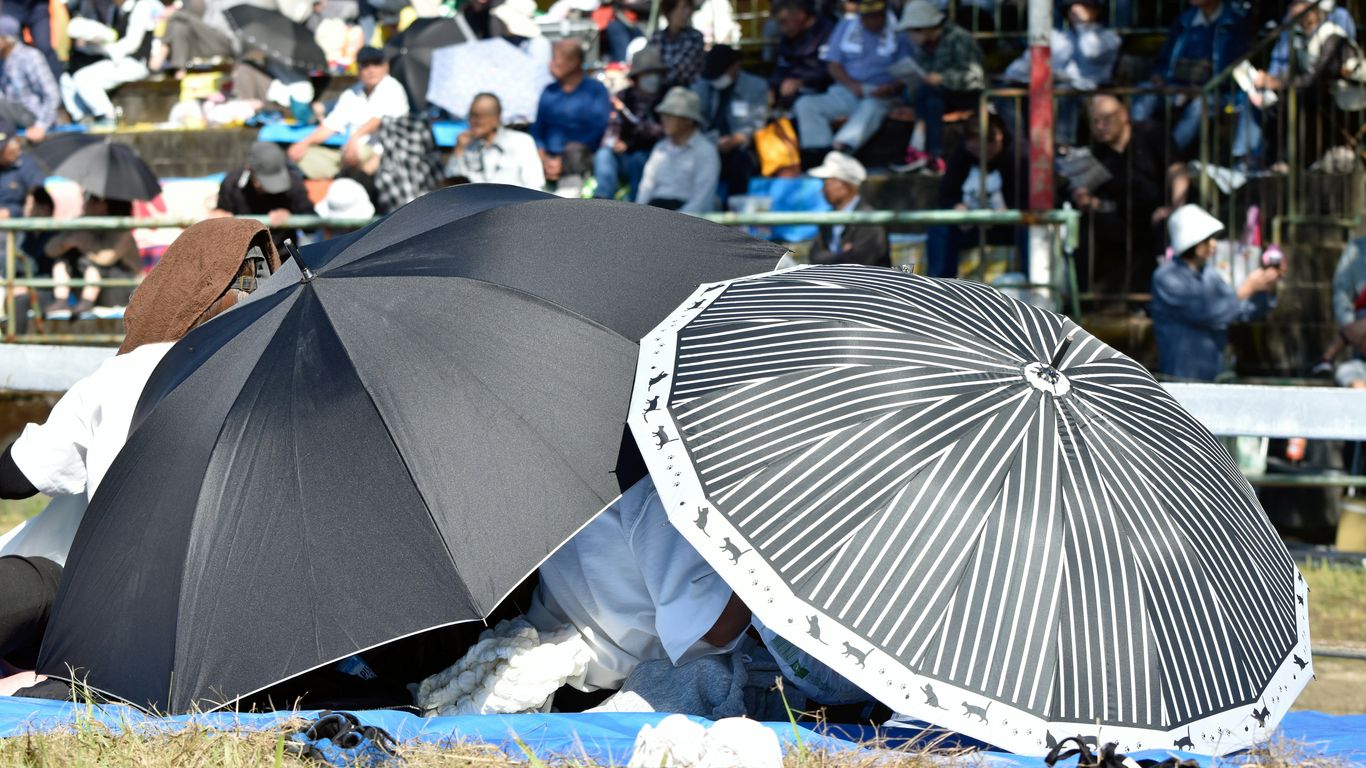 A group of people sitting in the grass with umbrellas