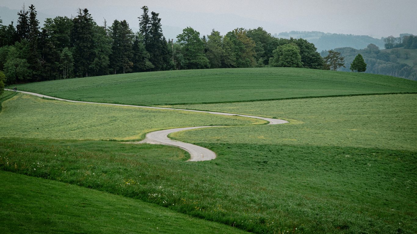 The winding paths through the green foliage