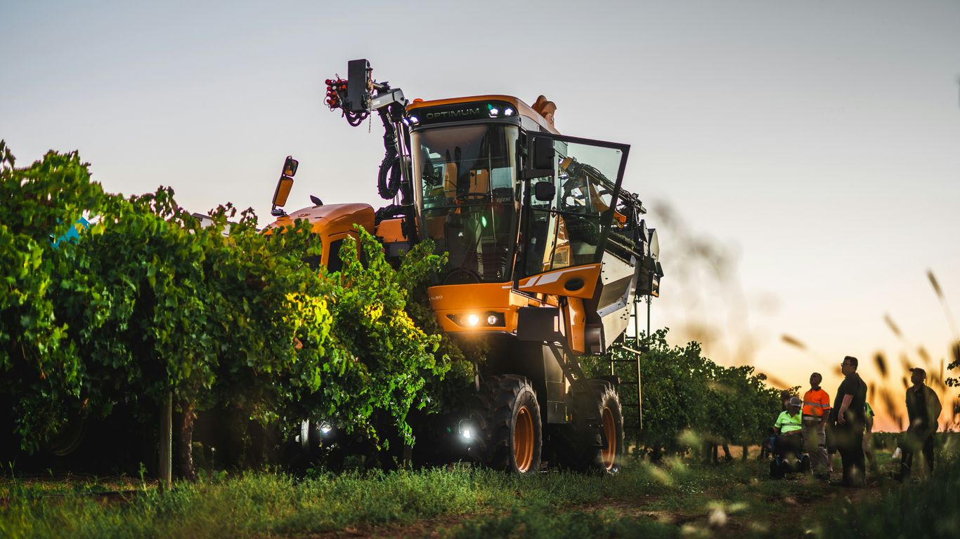 Autonomous robot navigating vineyard rows