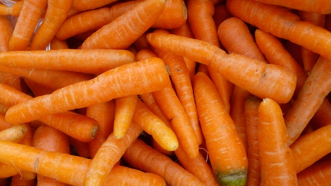 A pile of fresh, orange carrots.