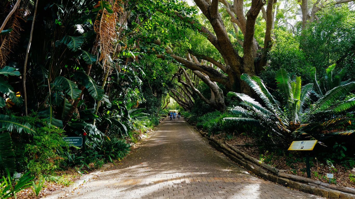Lush greenery and historic pathways await guests