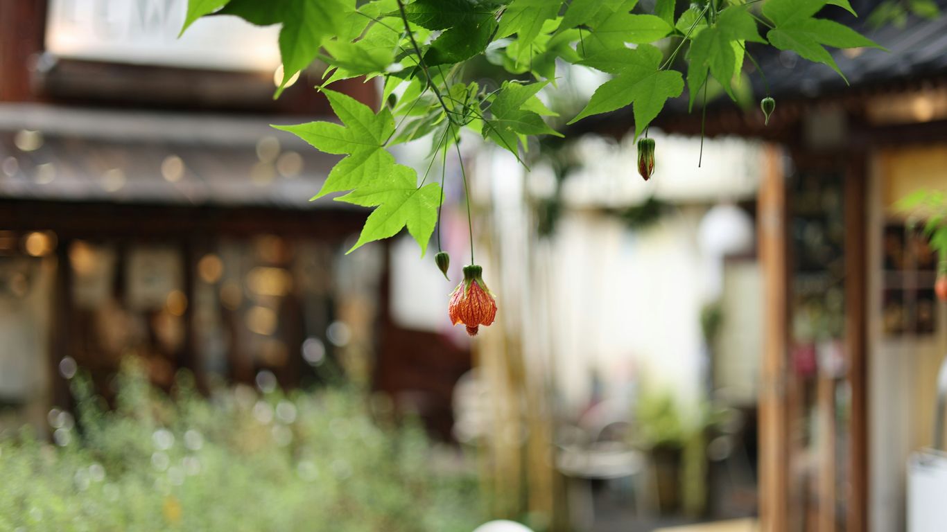 A unique botanical setting perfect for family exploration