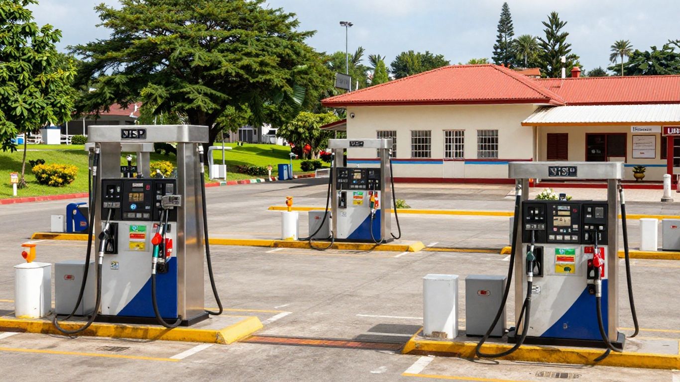 Global fuel pumps in diverse international settings.