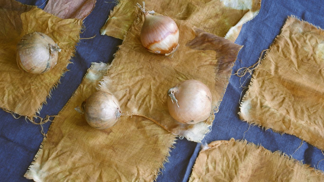 a dog lying on its back