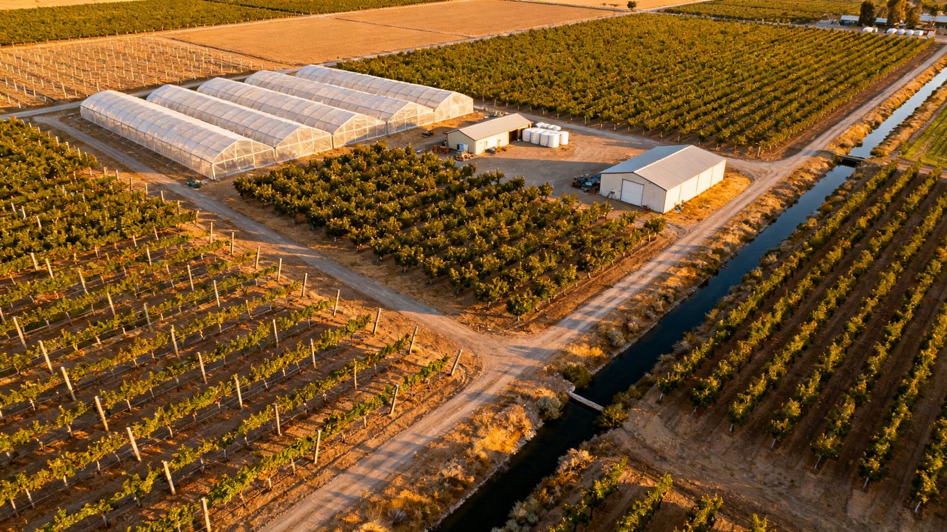 Aerial mapping over orchard rows