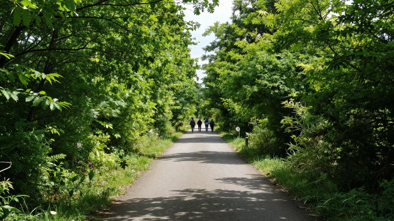 Customer journey path towards a bright future.