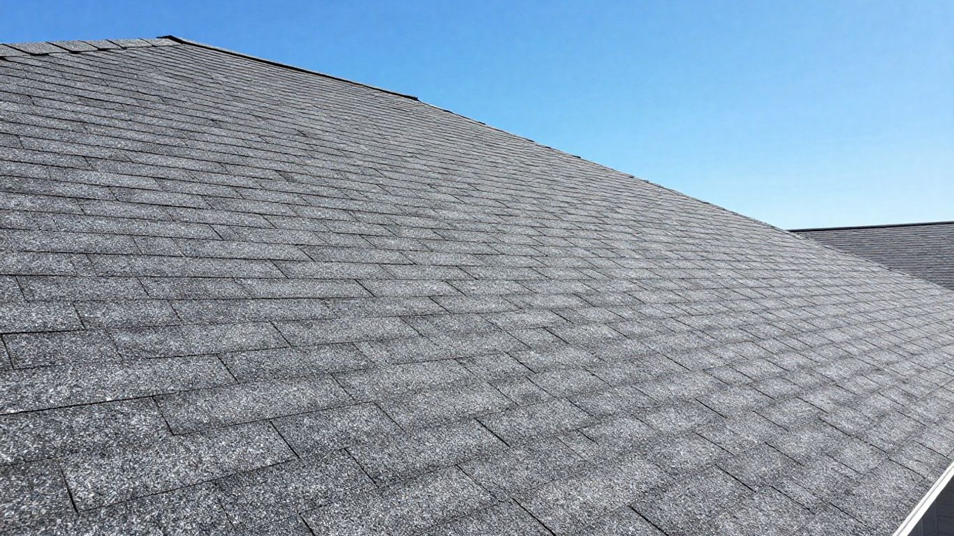 Close-up of a new asphalt shingle roof.