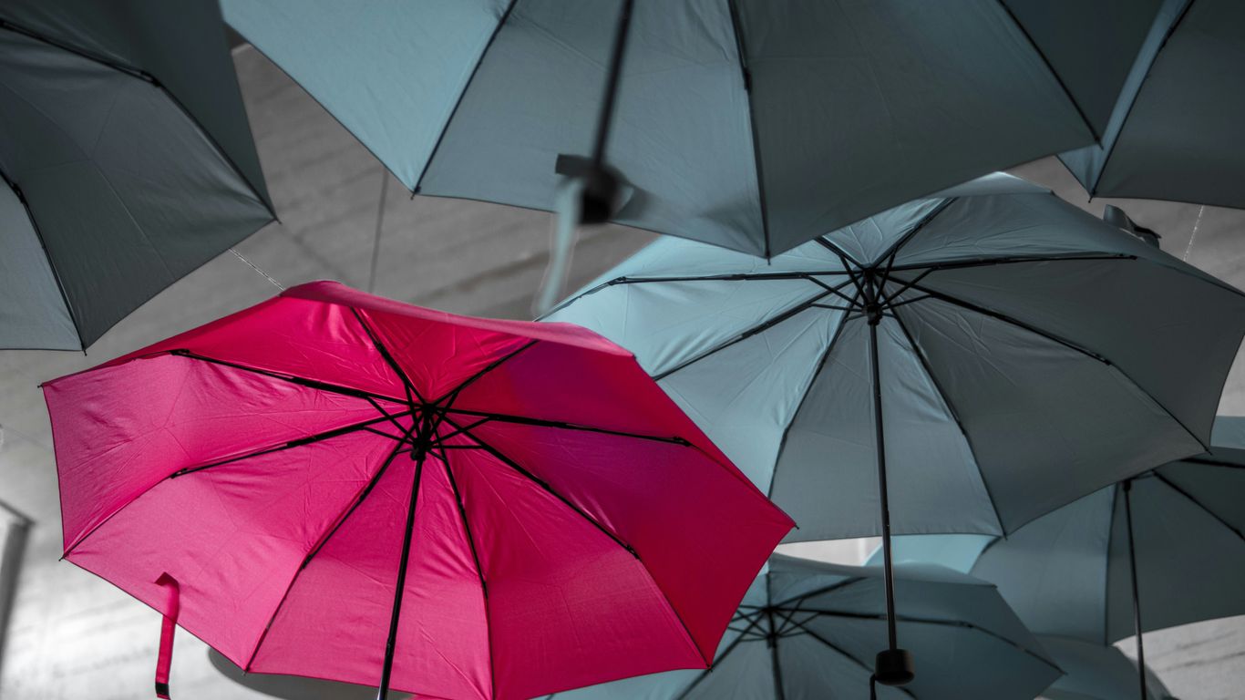 Custom umbrella samples and specifications