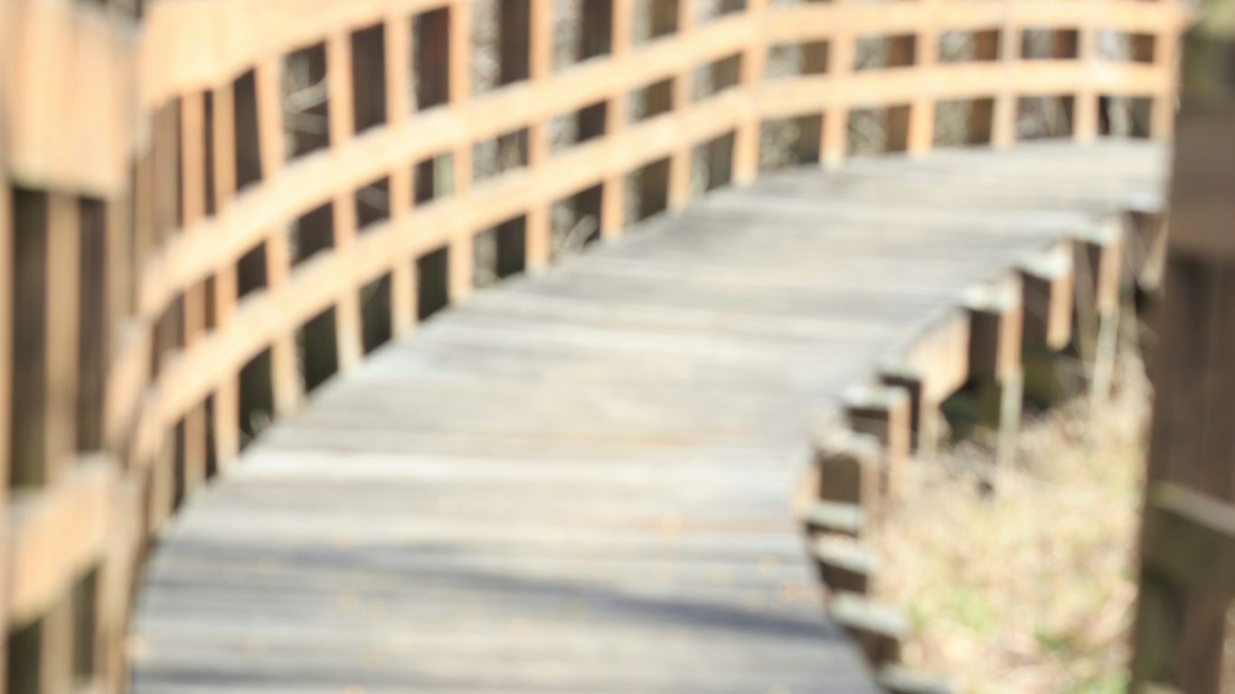 A wooden walkway winding through coastal scenery