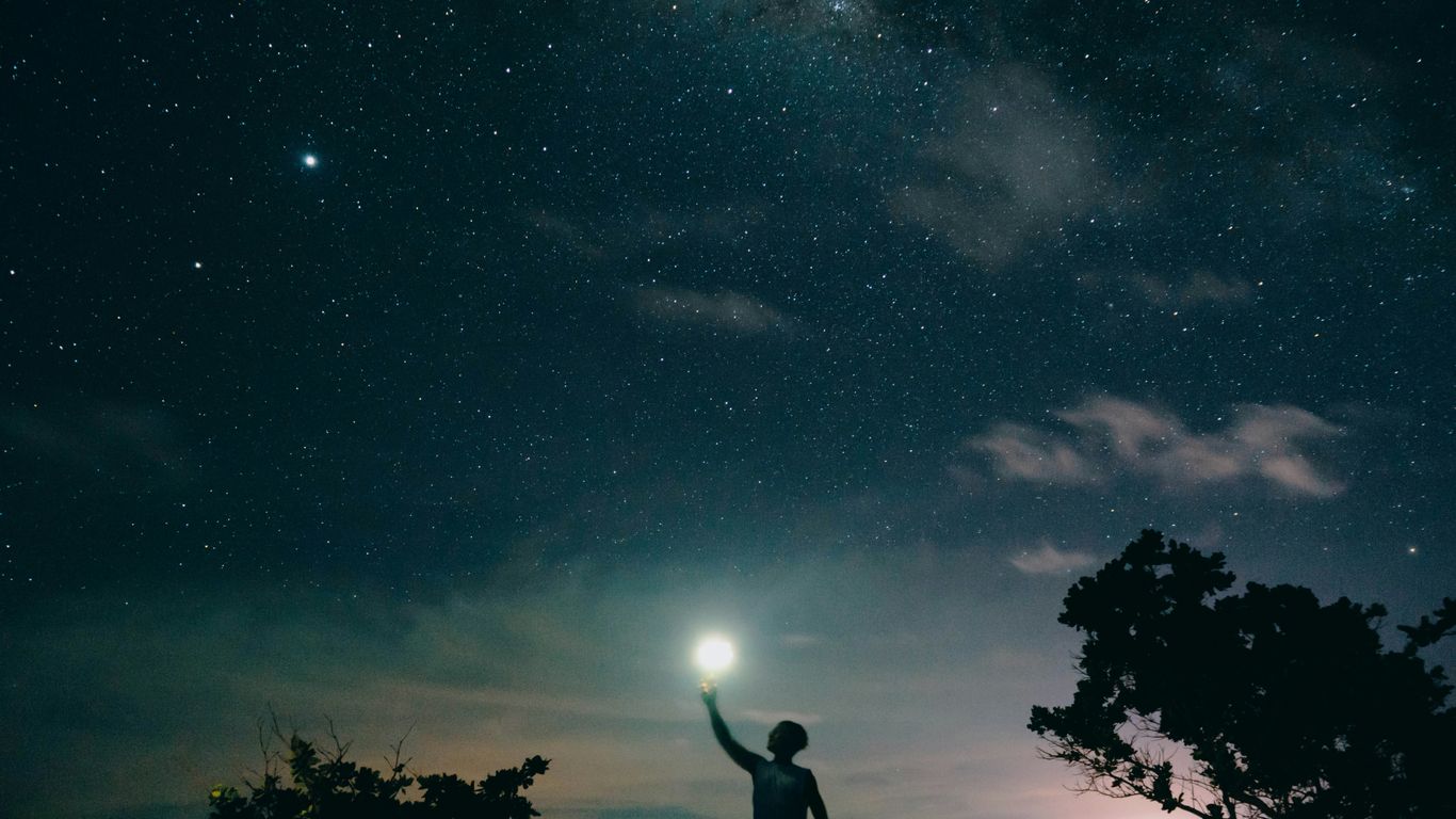 man in black tank top standing near tree under starry night