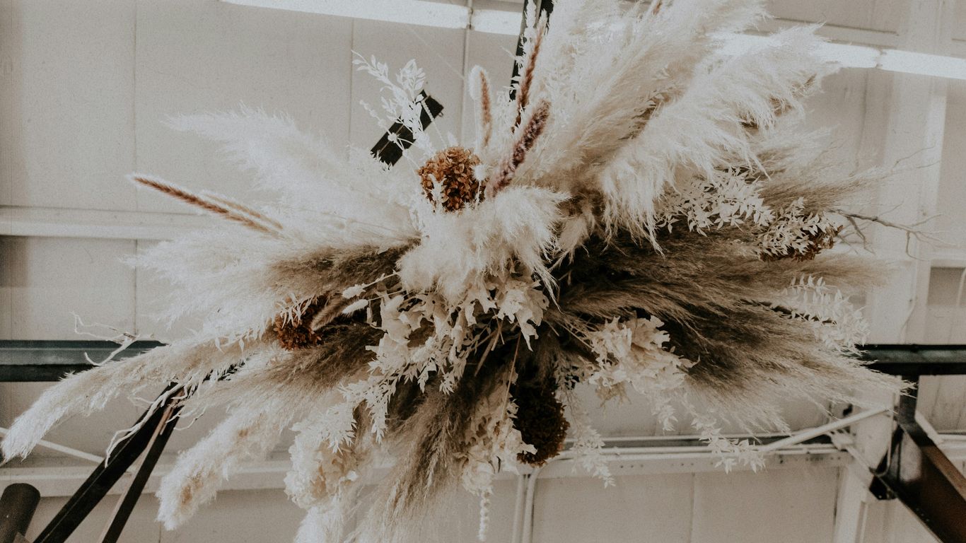 A vibrant floral studio with arrangements on display
