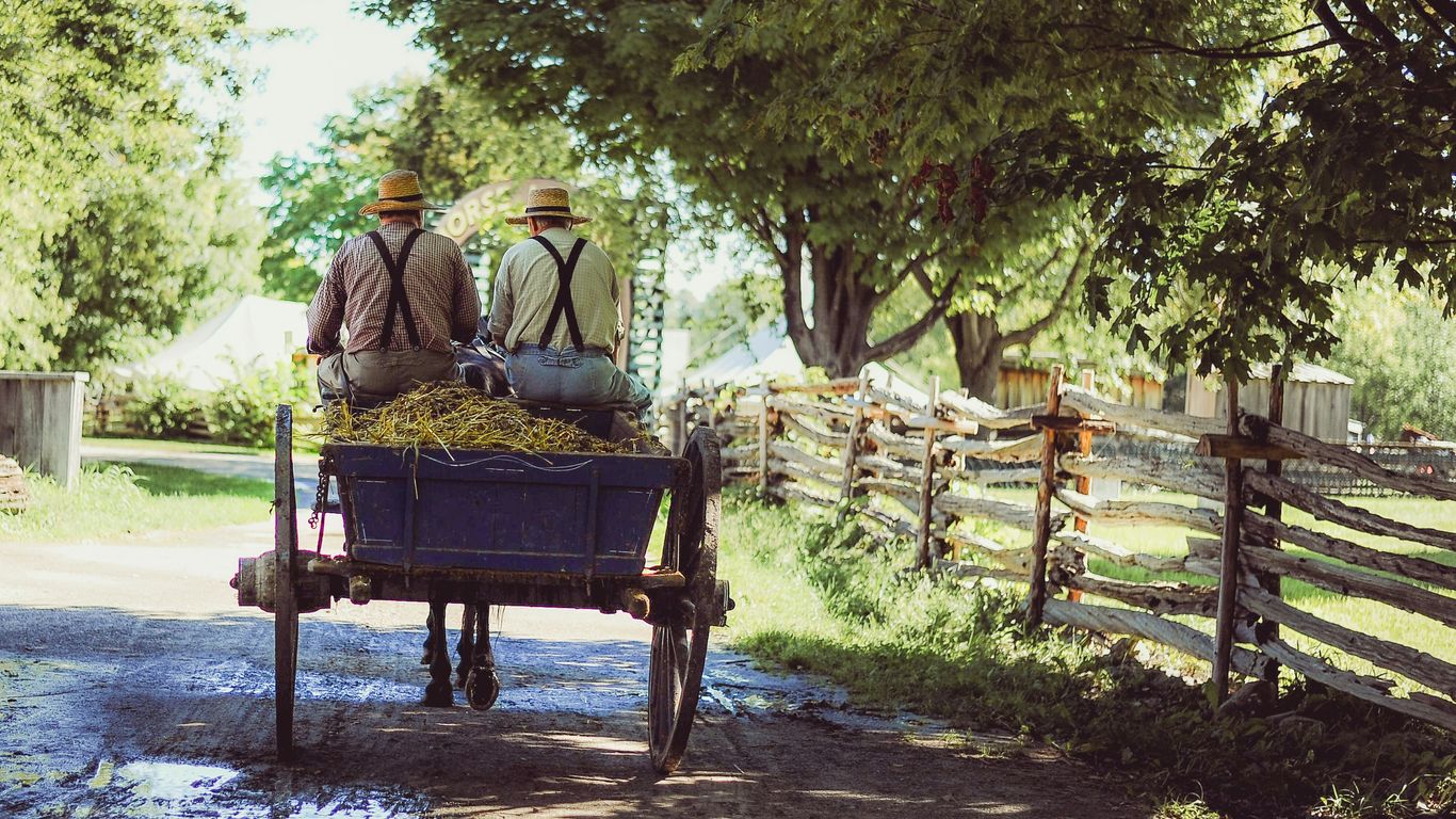 two person riding horse with carriage