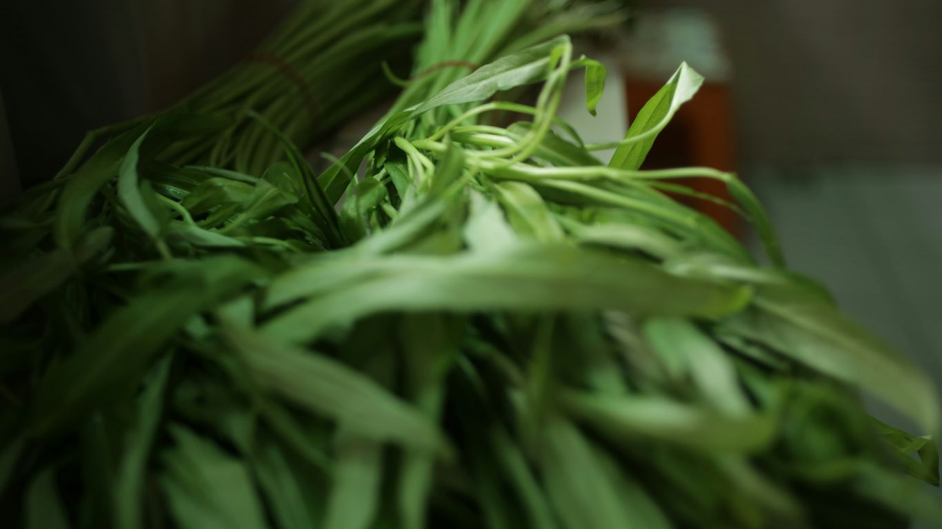 Fresh coconut milk and pandan leaves for rice preparation