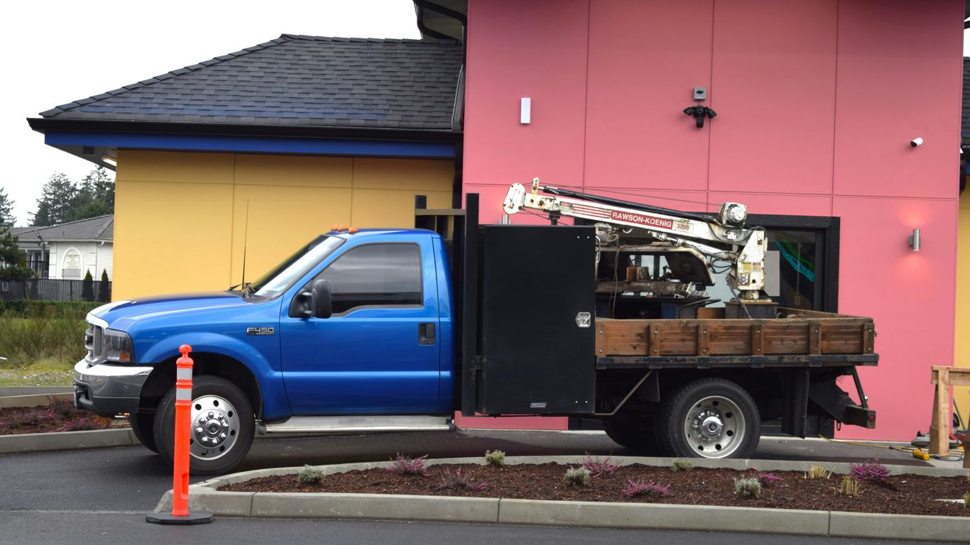 Tree company truck beneath leafy trees