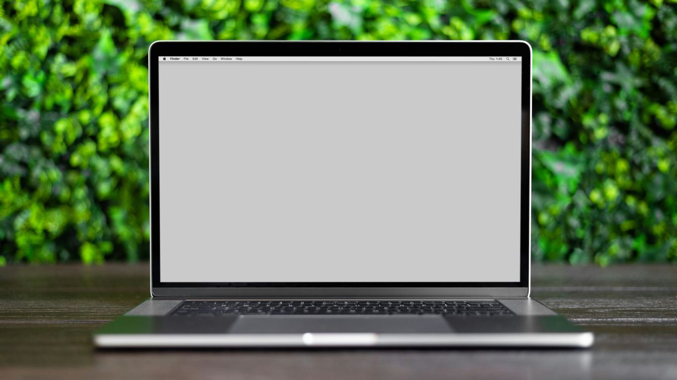 Tree service owner reviewing a CRM on a laptop