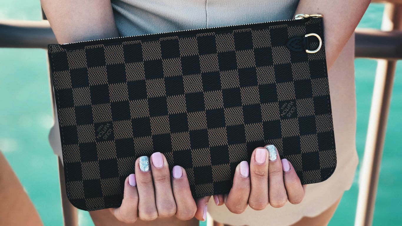 person holding Damier Graphite Louis Vuitton bag