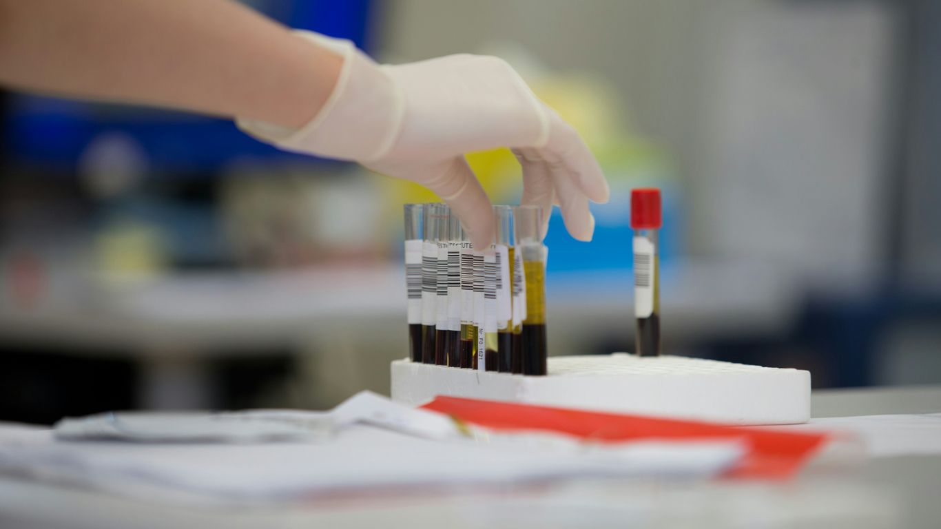 a gloved hand holding a test tube filled with blood