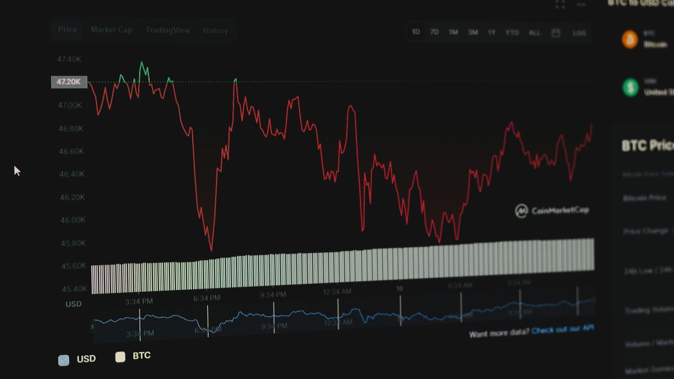 A Bitcoin to USD chart displaying fluctuating price trends.