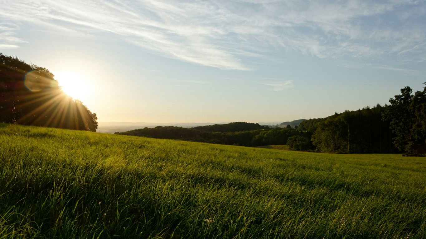 green grass field during daytime