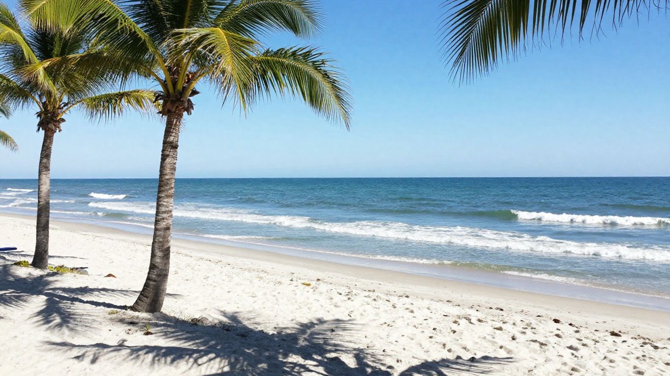 Hilton Head beach with palm trees and ocean