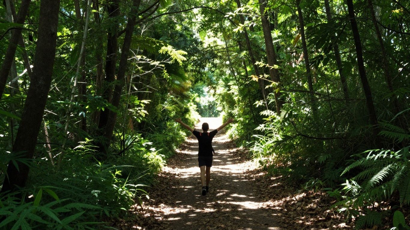 Person walking on a clear path in a sunny forest.
