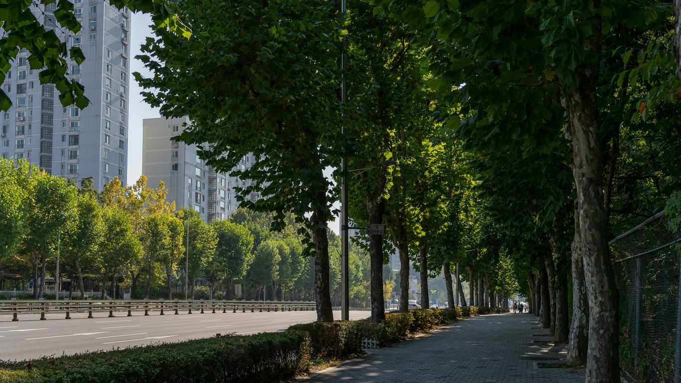 View of a street lined with trees