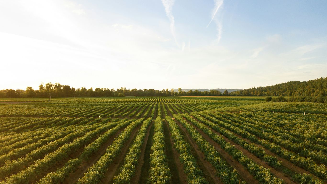 The Top Agricultural Robotics Startups of 2026