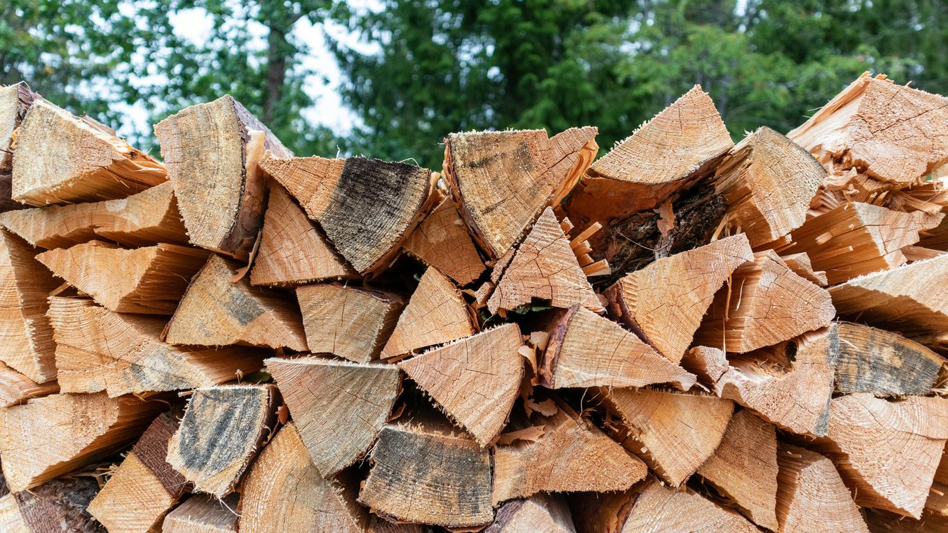 brown firewood lot