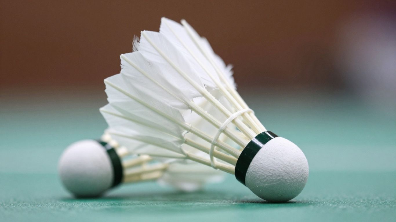 Badminton shuttlecock in flight