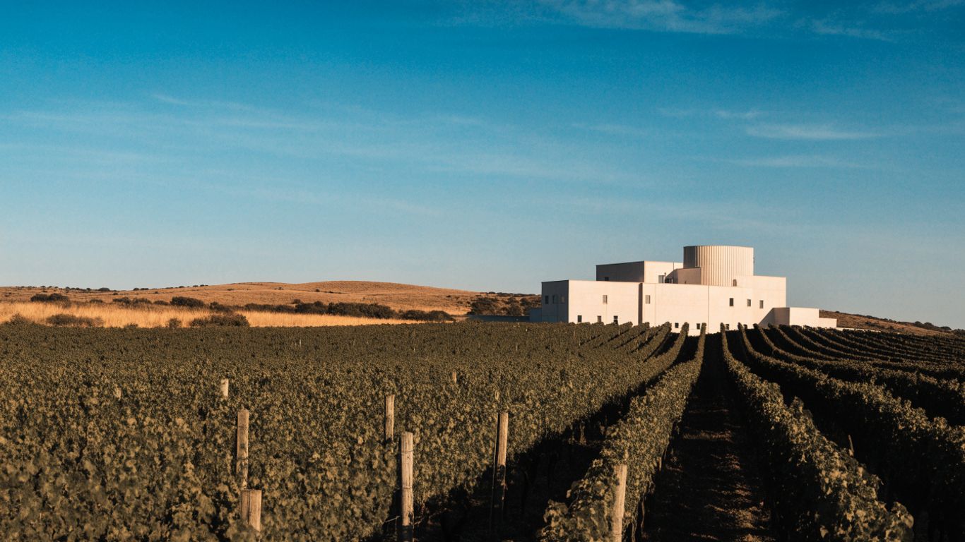Vineyard rows and contemporary winery near Montpellier